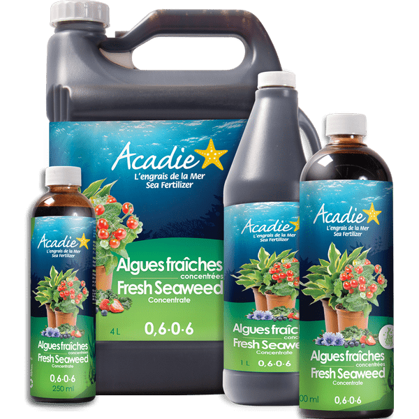 Mix Algue Liquide 500ml main image 0
