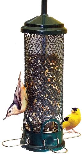 Squirrel buster Mini Mangeoire d'oiseaux sauvages