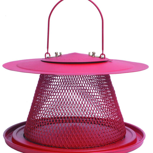 Cardinal bird feeder Pépinière Jasmin