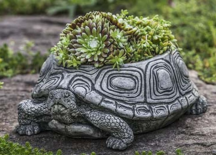 Pot tortue – Pépinière Jasmin