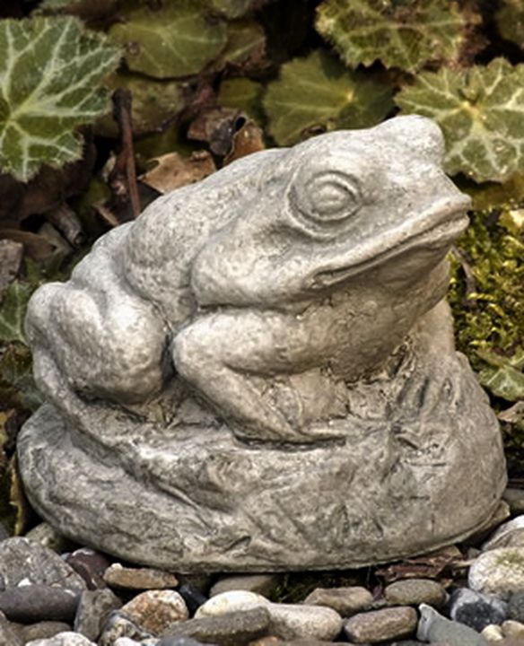 Tiny Frog – Pépinière Jasmin