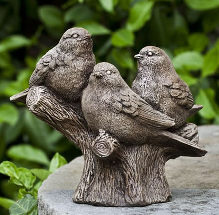 3 oiseaux de compagnie