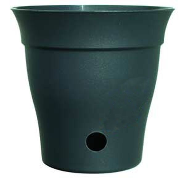 Pot plastique & soucoupe 8" et 10"