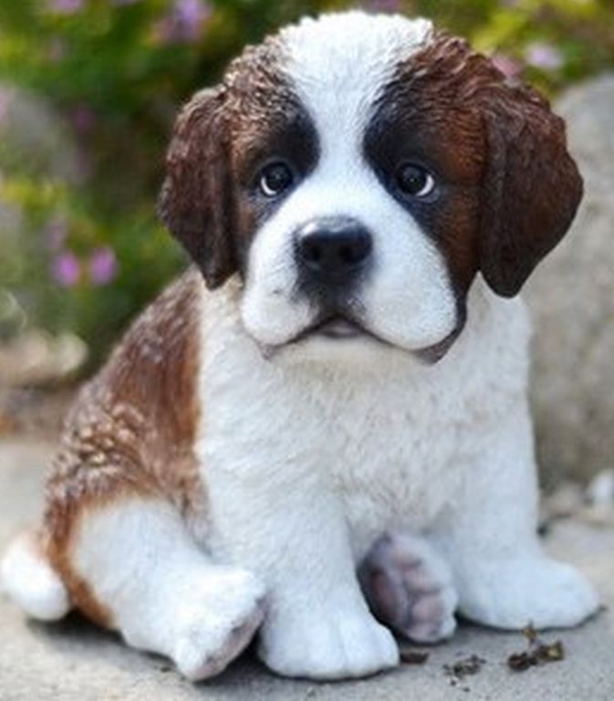 chiot saint bernard résine