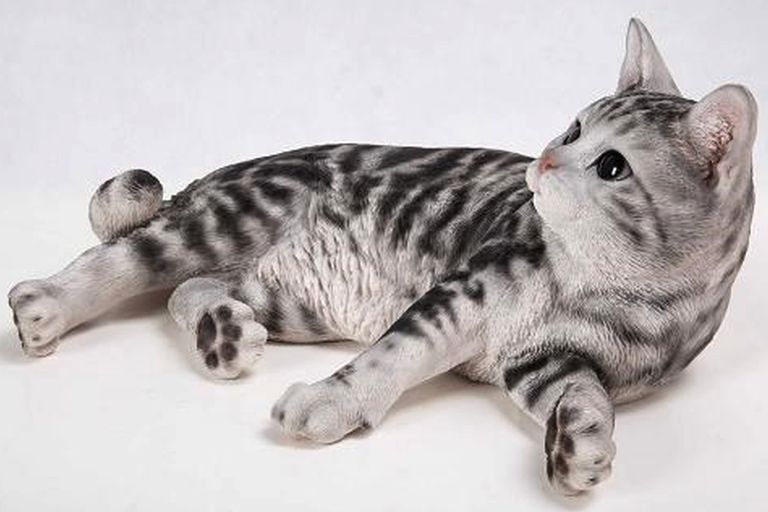 chat couché tigré noir & blanc