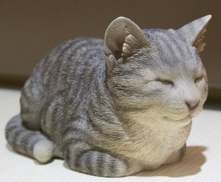 chat couché gris et blanc