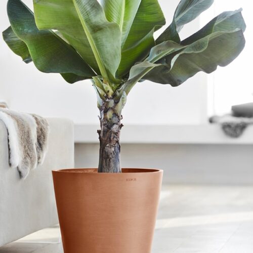 AMSTERDAM ECOPOTS