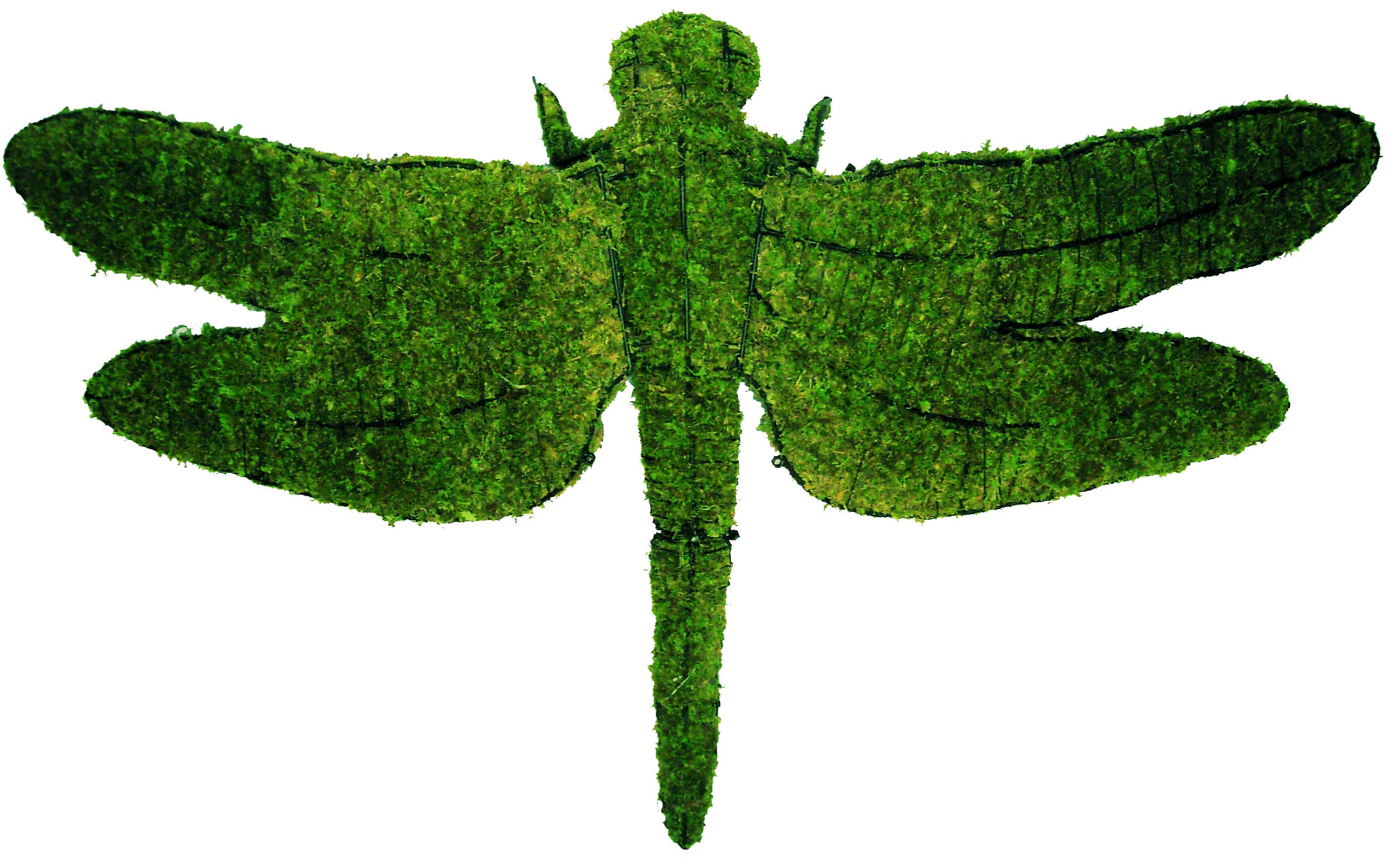 Topiaire/sculpture libellule  ** -30% **