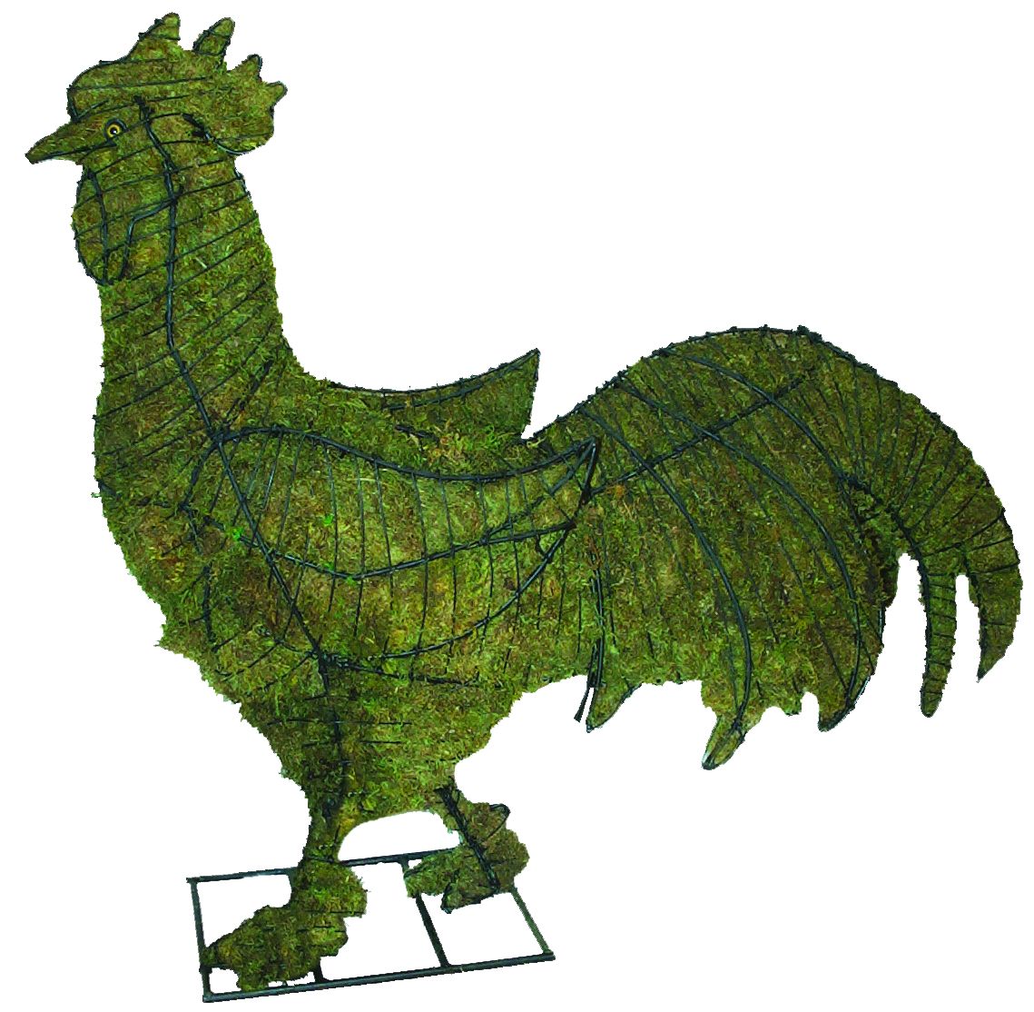 Topiaire/sculpture coq ** -30% **