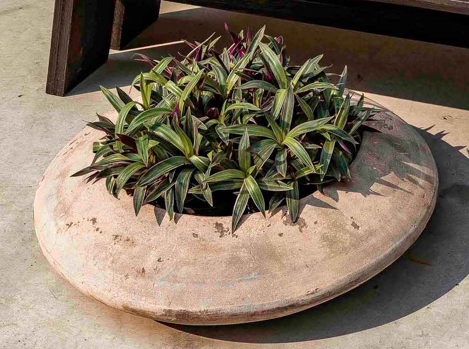 Bol luna antico  ** -20%  **