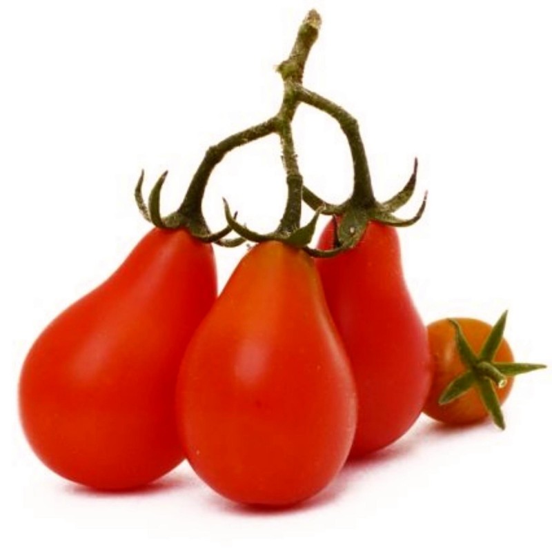 tomate cerise poire rouge