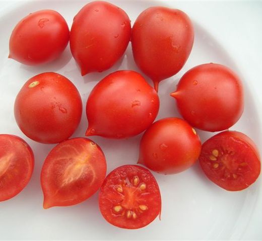 Tomate Plourde (Solanum lycopersicum 'Plourde')