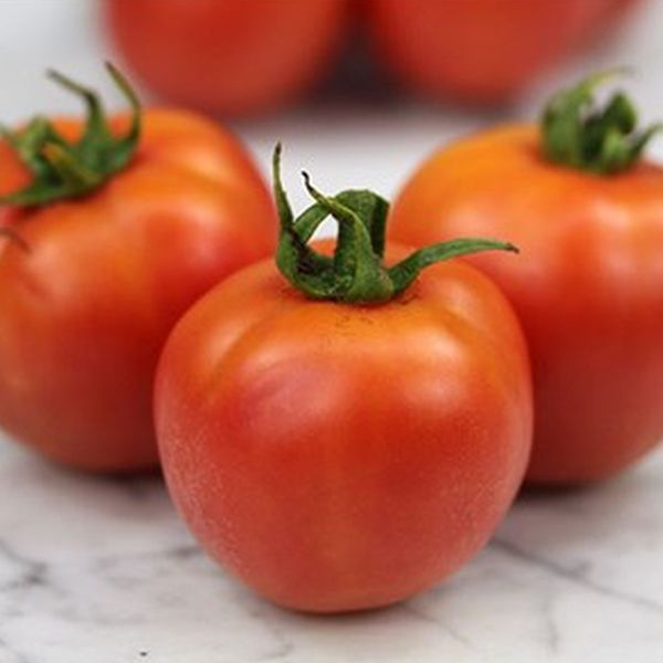 Tomato — Raspberry Lyanna – Pépinière Jasmin