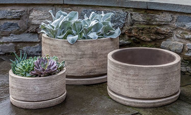 terra cotta antico low sgraffito PLANTER – Pépinière Jasmin