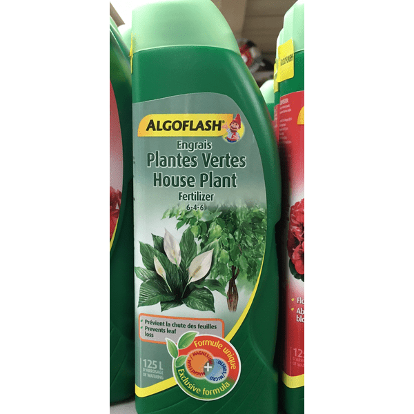 ALGOFLASH Engrais plantes vertes 6-4-6 – Pépinière Jasmin