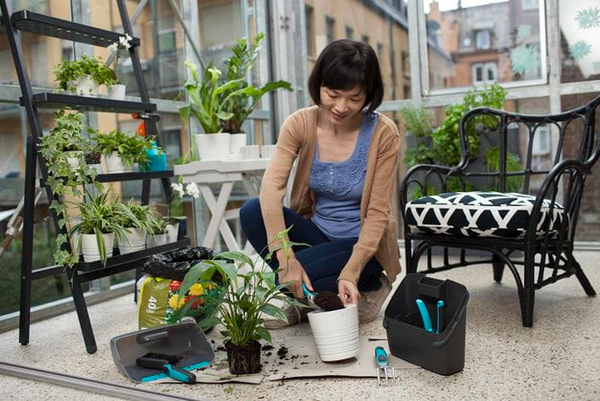 Kit outils de jardinage sur balcon de Gardena, k…