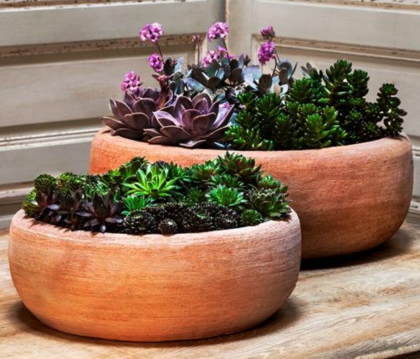 TERRACOTTA CIOTOLA LISCIA BOWL – Pépinière Jasmin