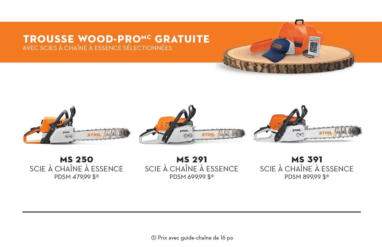stihl-automne-3