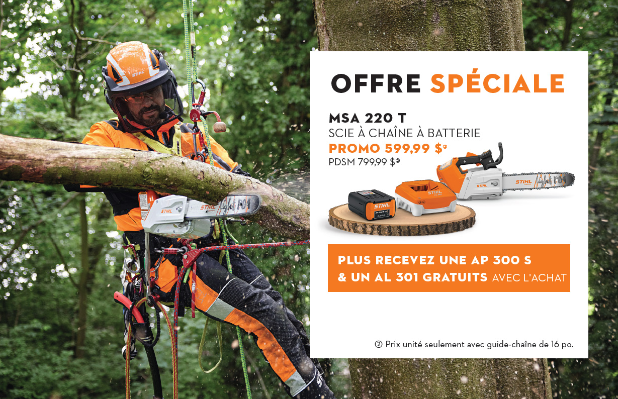 stihl-automne-8