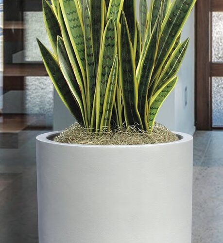 White or Lead Portland planter- 2 sizes