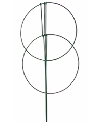 18” Double Peony Ring