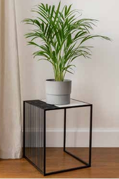 Square Nesting Plant Stands - 3 sizes