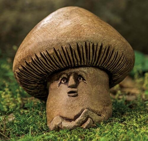 Shroom