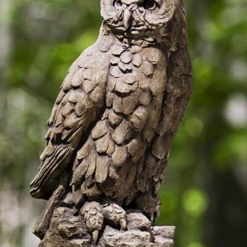 Large Horned Owl