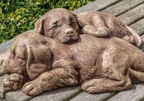 Nap Time Puppies