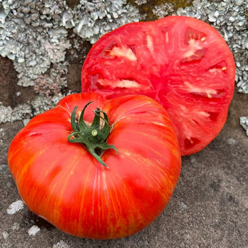 Beefy Red